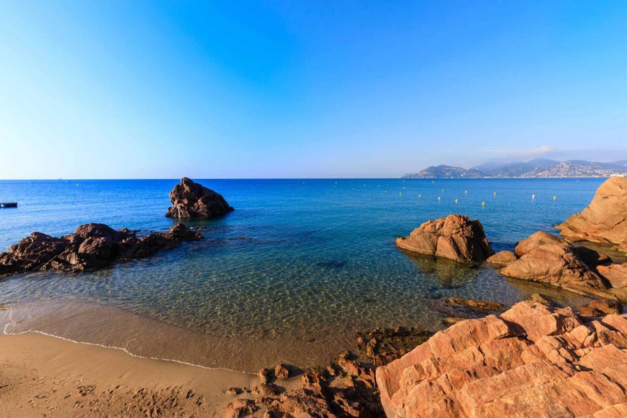 A 10 Min De La Croisette - Pieds Dans La Mer Cannes Exterior photo